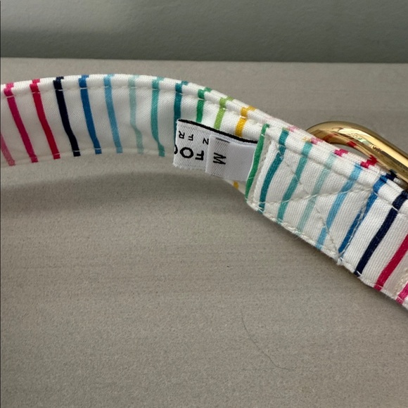 The Foggy Dog Stripes Dog Collar - Picture 2 of 2